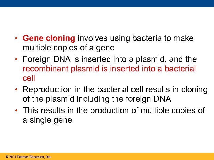  • Gene cloning involves using bacteria to make multiple copies of a gene