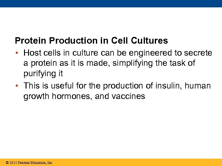 Protein Production in Cell Cultures • Host cells in culture can be engineered to