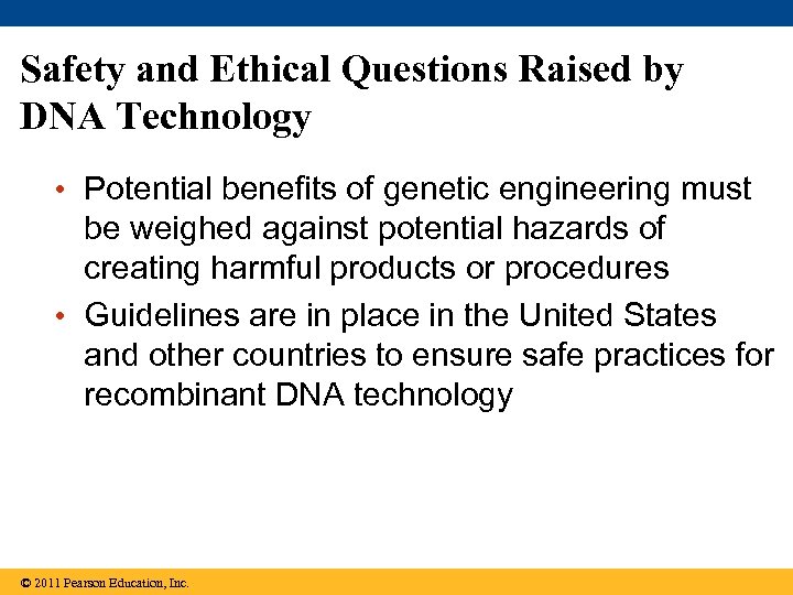 Safety and Ethical Questions Raised by DNA Technology • Potential benefits of genetic engineering