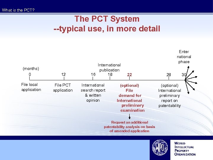 What is the PCT? The PCT System --typical use, in more detail (months) 0