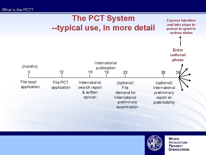 What is the PCT? The PCT System --typical use, in more detail (months) 0