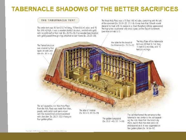 TABERNACLE SHADOWS OF THE BETTER SACRIFICES 