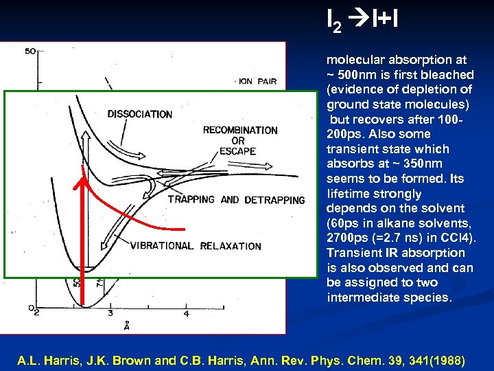 I 2 I+I molecular absorption at ~ 500 nm is first bleached (evidence of