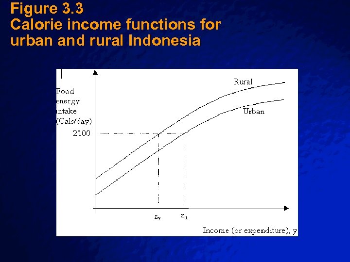 Figure 3. 3 Calorie income functions for urban and rural Indonesia Slide 51 ©