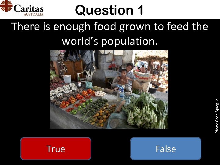 Question 1 Photo: Sean Sprague There is enough food grown to feed the world’s