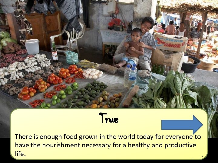 True There is enough food grown in the world today for everyone to have
