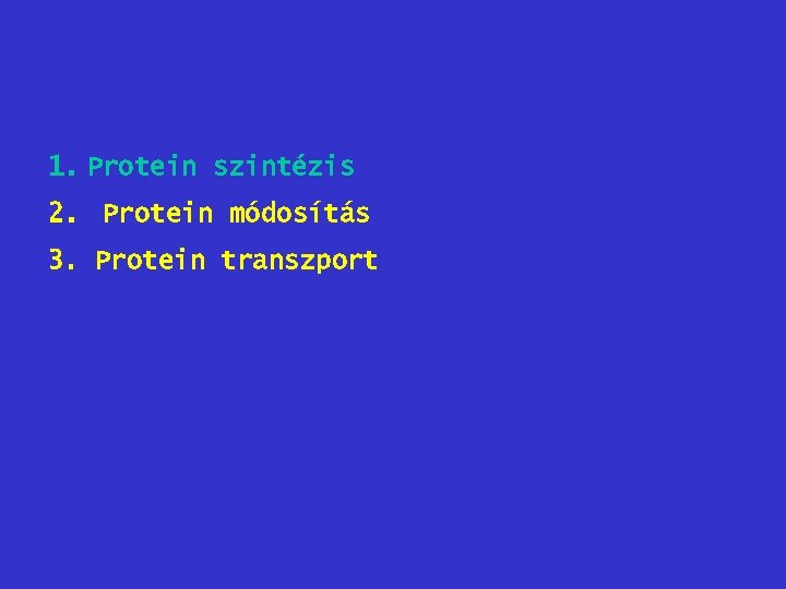 1. Protein szintézis 2. Protein módosítás 3. Protein transzport 