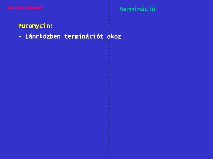 u r e antibiotikumok Puromycin: r e s e m b l e s