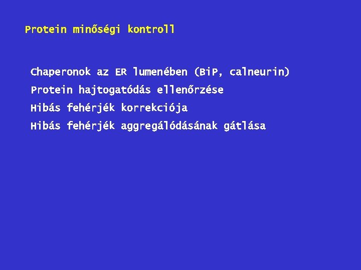 Protein minőségi kontroll Chaperonok az ER lumenében (Bi. P, calneurin) Protein hajtogatódás ellenőrzése Hibás