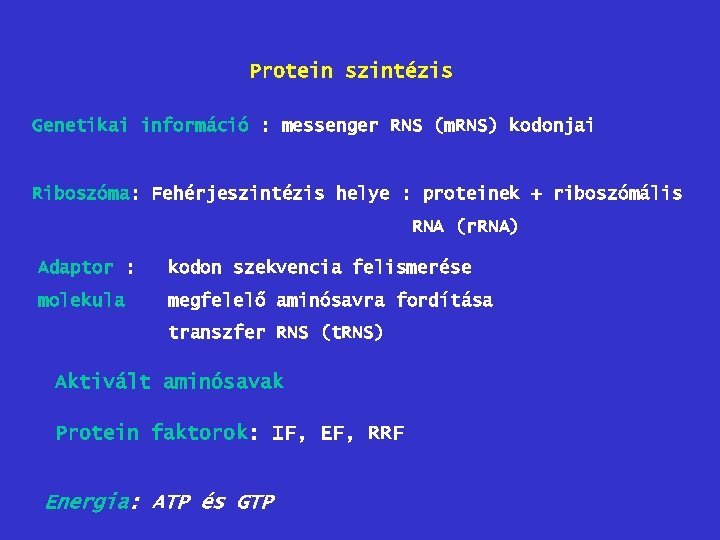 Protein szintézis Genetikai információ : messenger RNS (m. RNS) kodonjai Riboszóma: Fehérjeszintézis helye :