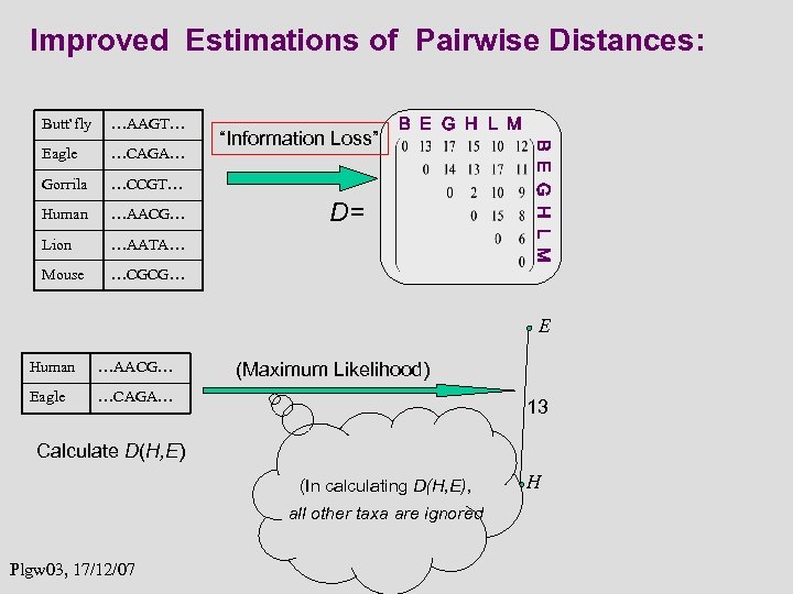 Improved Estimations of Pairwise Distances: …AAGT… Eagle …CAGA… Gorrila …CCGT… Human …AACG… Lion …AATA…
