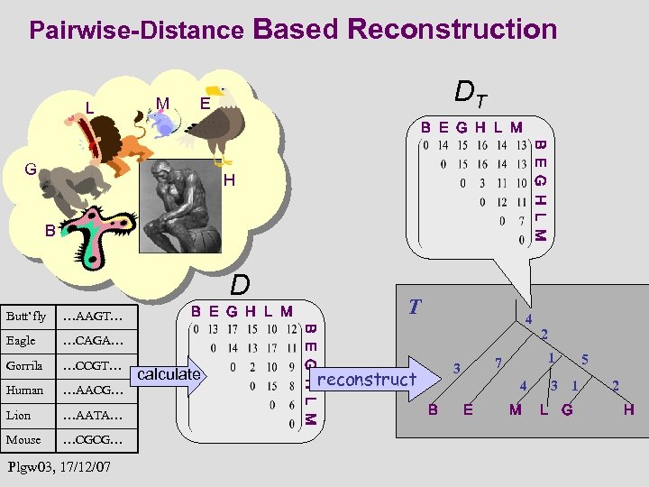 Pairwise-Distance Based Reconstruction L M DT E B E G H L M G