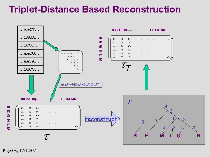 Triplet-Distance Based Reconstruction …AAGT… BB BE BG…. . B E G H L M