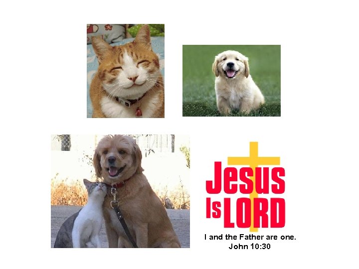  I and the Father are one. John 10: 30 
