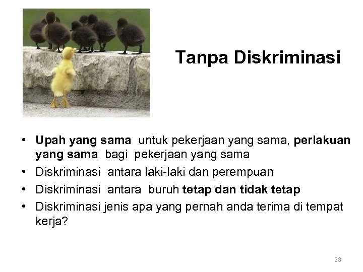 Tanpa Diskriminasi • Upah yang sama untuk pekerjaan yang sama, perlakuan yang sama bagi