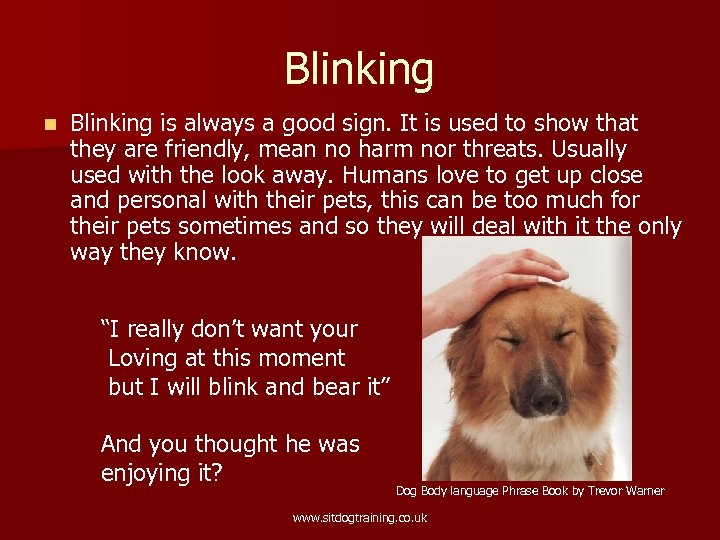 Blinking n Blinking is always a good sign. It is used to show that