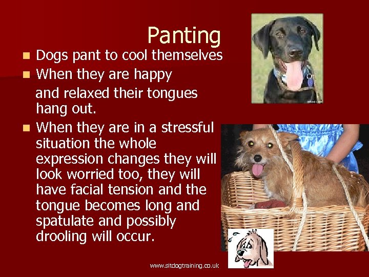 Panting Dogs pant to cool themselves n When they are happy and relaxed their