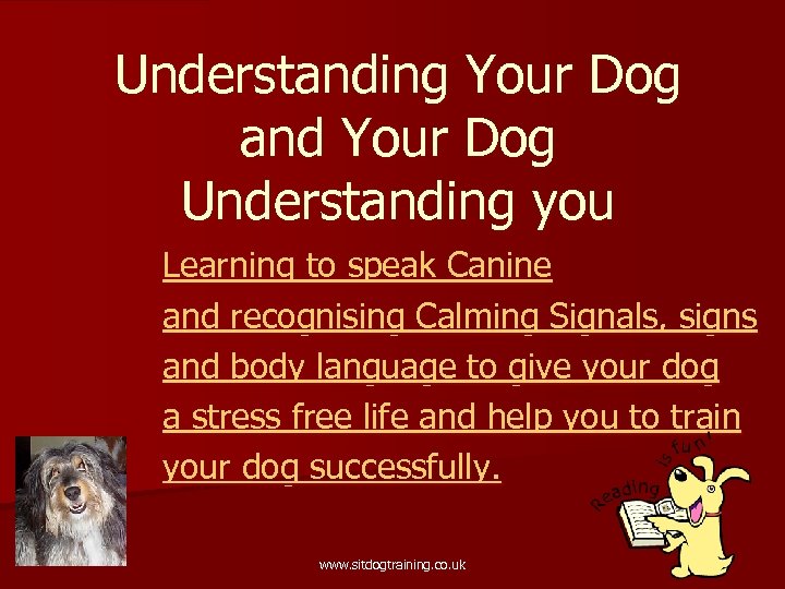 Understanding Your Dog and Your Dog Understanding you Learning to speak Canine and recognising