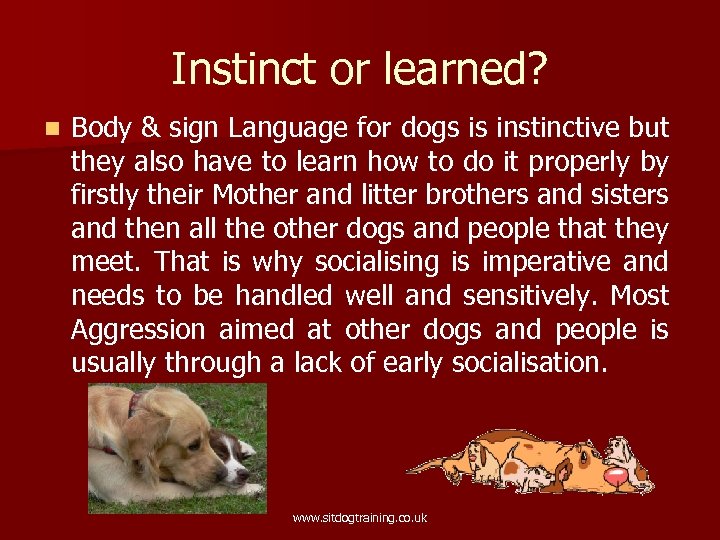 Instinct or learned? n Body & sign Language for dogs is instinctive but they