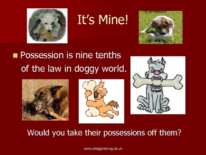 It’s Mine! n Possession is nine tenths of the law in doggy world. Would