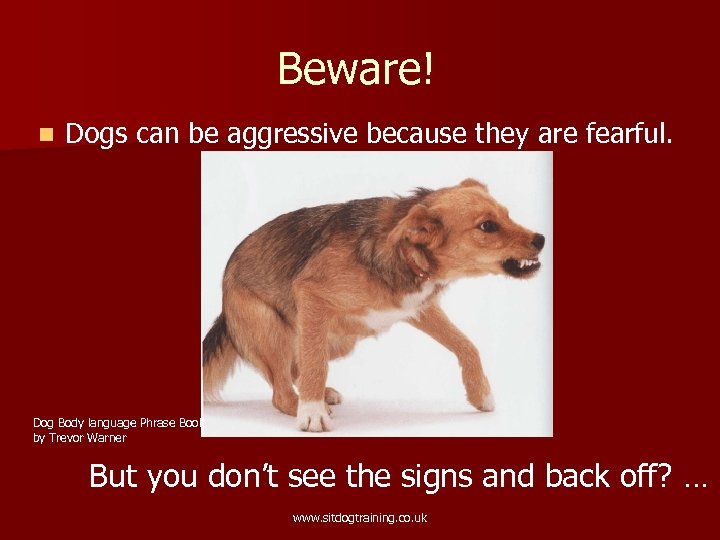 Beware! n Dogs can be aggressive because they are fearful. Dog Body language Phrase