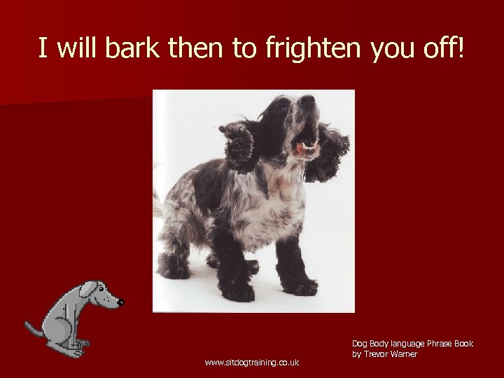 I will bark then to frighten you off! www. sitdogtraining. co. uk Dog Body