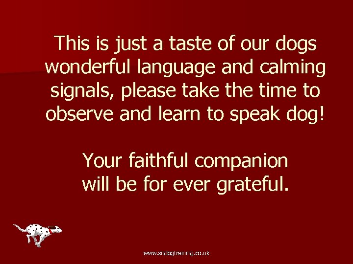 This is just a taste of our dogs wonderful language and calming signals, please