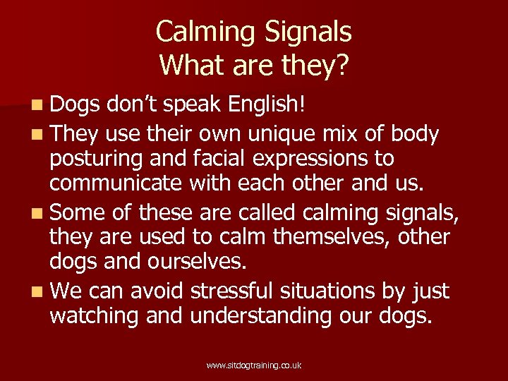 Calming Signals What are they? n Dogs don’t speak English! n They use their