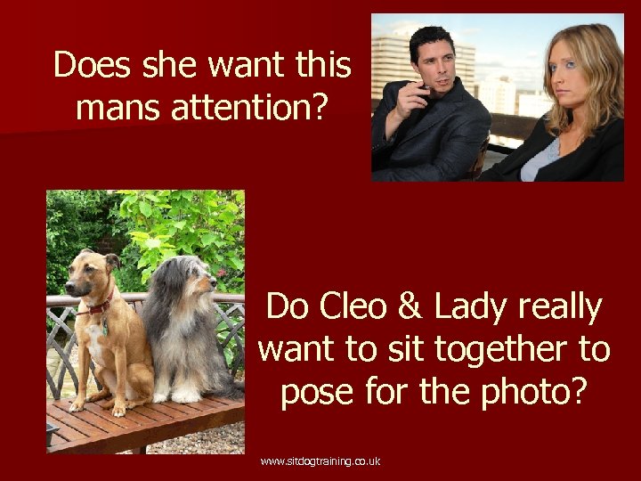 Does she want this mans attention? Do Cleo & Lady really want to sit