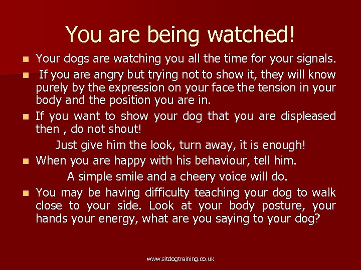 You are being watched! n n n Your dogs are watching you all the