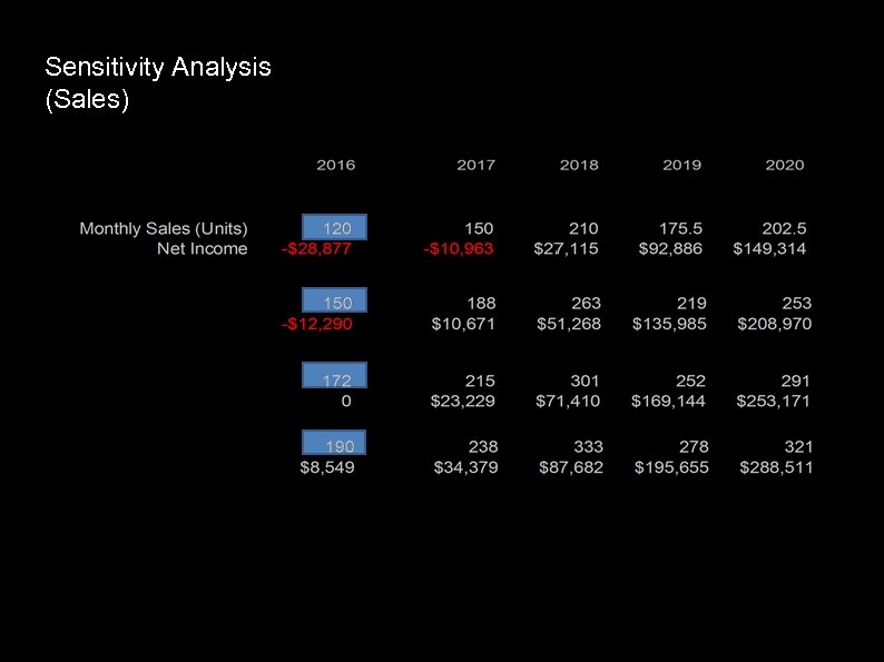 Sensitivity Analysis (Sales) 