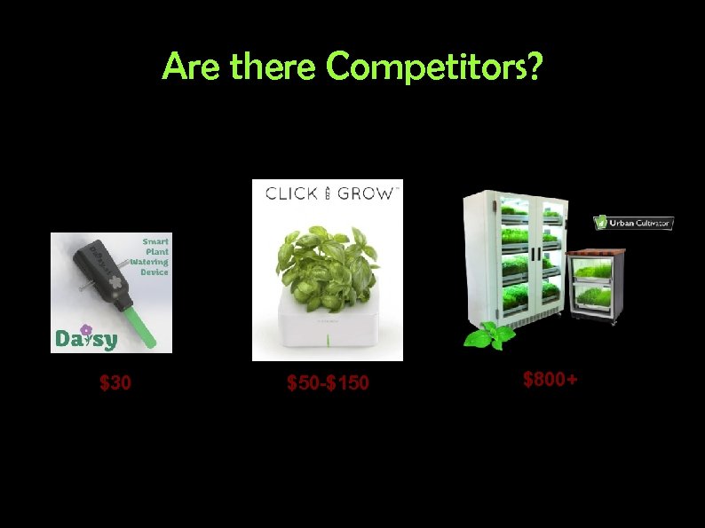 Are there Competitors? $30 $50 -$150 $800+ 