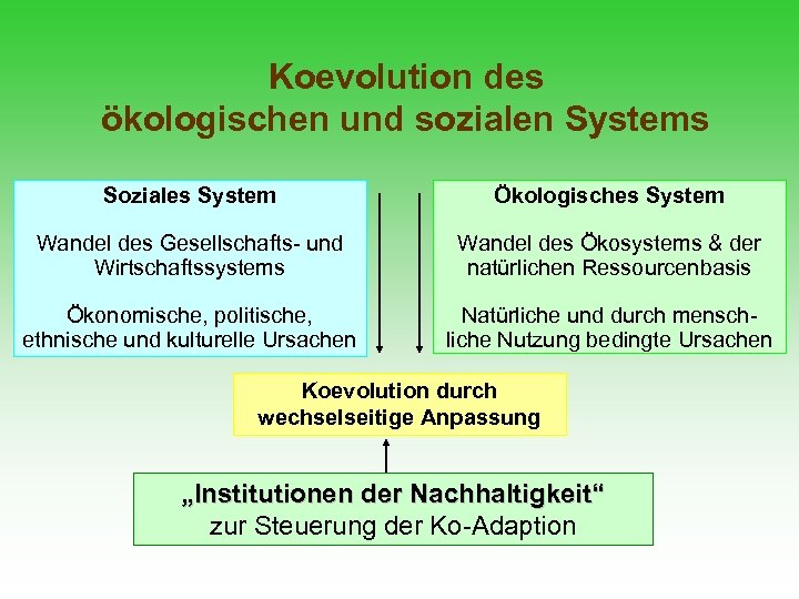 Koevolution des ökologischen und sozialen Systems Soziales System Ökologisches System Wandel des Gesellschafts- und