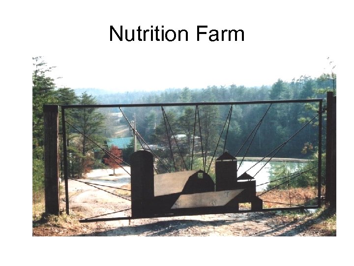 Nutrition Farm 