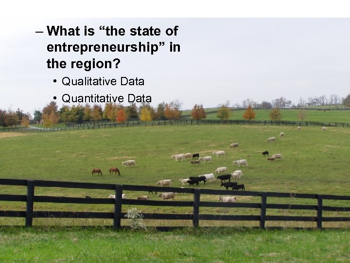 – What is “the state of entrepreneurship” in the region? • Qualitative Data •