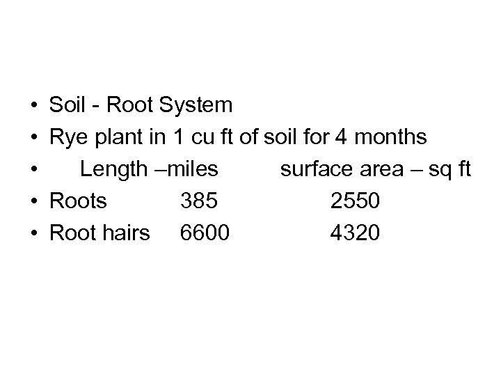  • • • Soil - Root System Rye plant in 1 cu ft