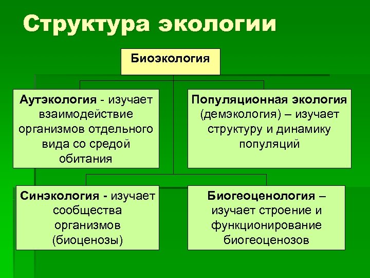 Структура экологии Биоэкология Аутэкология - изучает взаимодействие организмов отдельного вида со средой обитания Популяционная
