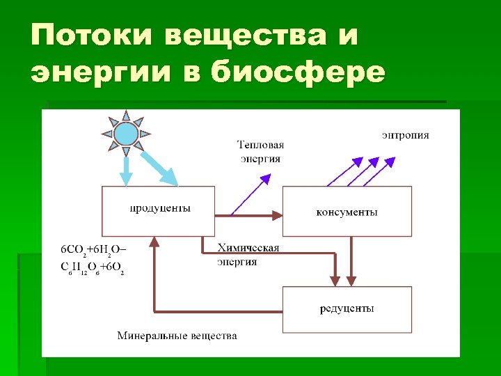 Потоки вещества и энергии в биосфере 