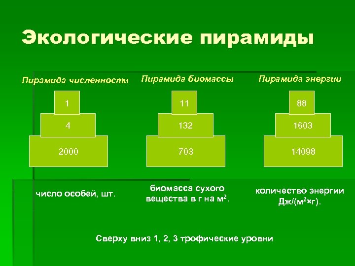 Экологические пирамиды Пирамида численности Пирамида биомассы Пирамида энергии 1 11 88 4 132 1603