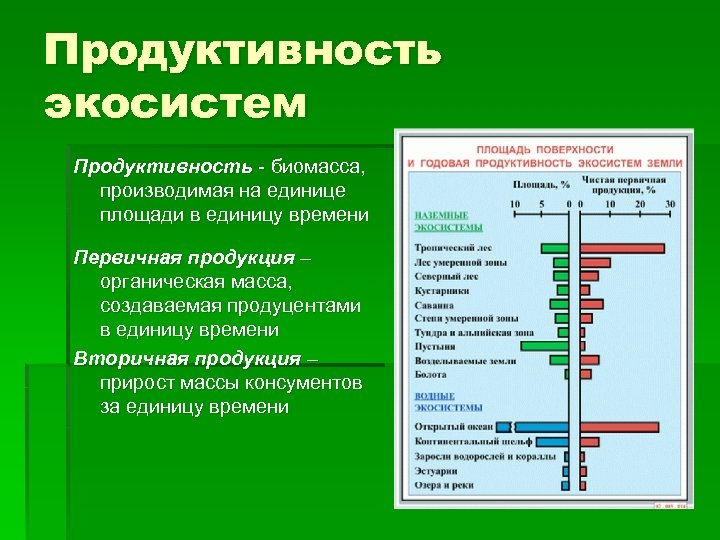 Продуктивность экосистем Продуктивность - биомасса, производимая на единице площади в единицу времени Первичная продукция