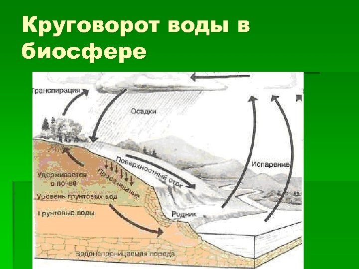 Круговорот воды в биосфере 