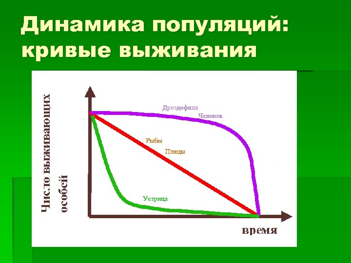 Динамика популяций: кривые выживания Дроздофила Человек Рыбы Птицы Устрица 
