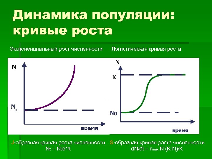 Динамика популяции: кривые роста Экспоненциальный рост численности Логистическая кривая роста J-образная кривая роста численности