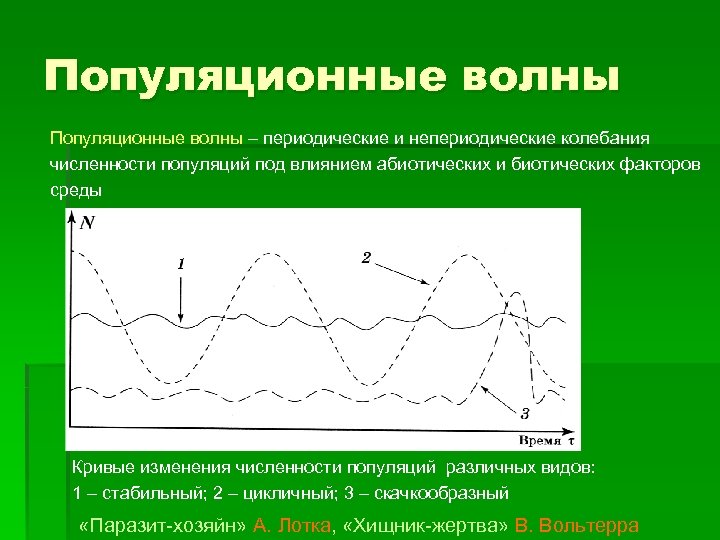 Популяционные волны. Популяционные волны хищник жертва. Периодические и непериодические колебания численности популяции. Периодические популяционные волны. Колебания численности популяционные волны.