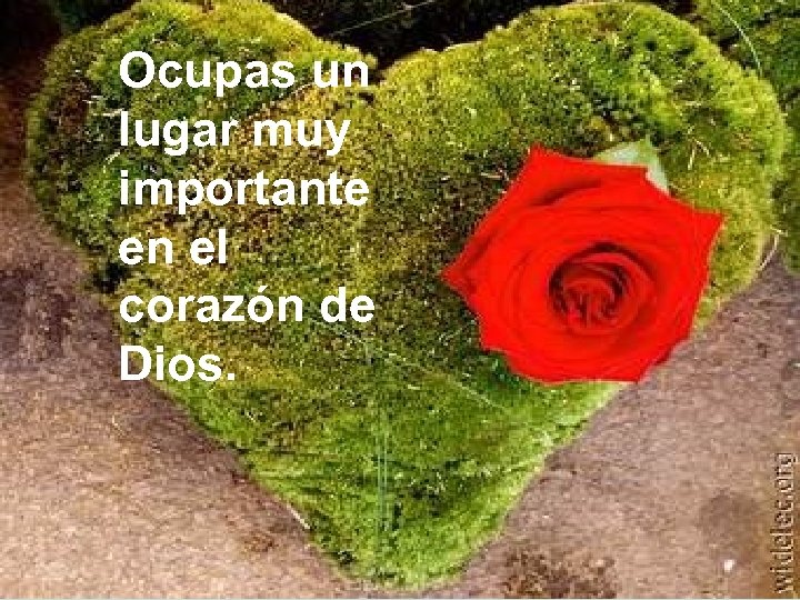 Ocupas un lugar muy importante en el corazón de Dios. 