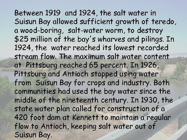 Between 1919 and 1924, the salt water in Suisun Bay allowed sufficient growth of