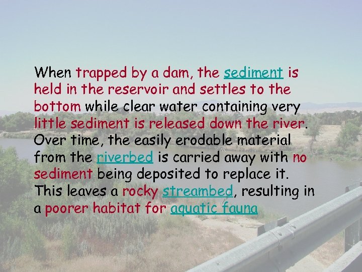 When trapped by a dam, the sediment is held in the reservoir and settles