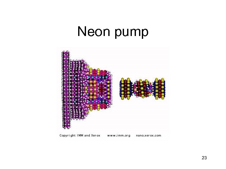 Neon pump 23 