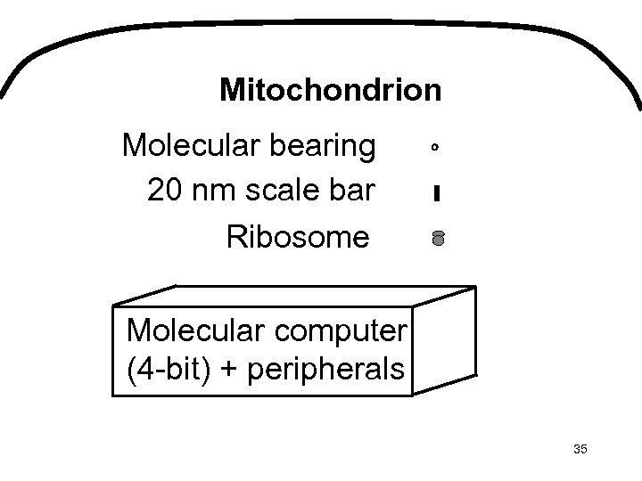 Mitochondrion Molecular bearing 20 nm scale bar Ribosome Molecular computer (4 -bit) + peripherals