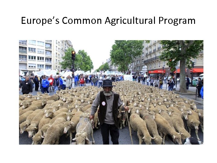 Europe’s Common Agricultural Program 